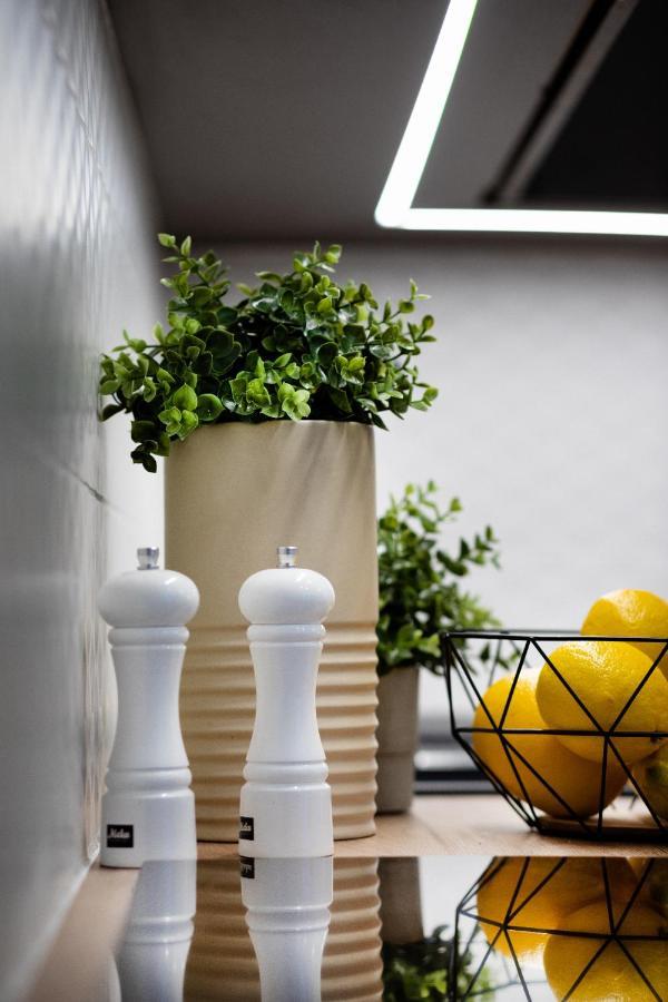 ريغا Brivibas House Design Apartments In City Center المظهر الخارجي الصورة